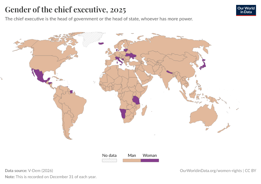 A thumbnail of the "Gender of the chief executive" chart