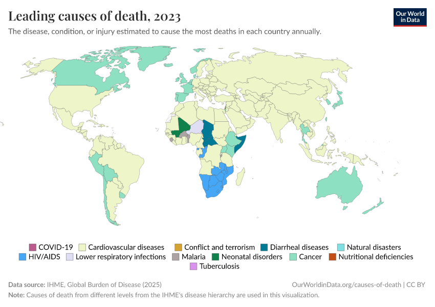 A thumbnail of the "Leading causes of death" chart