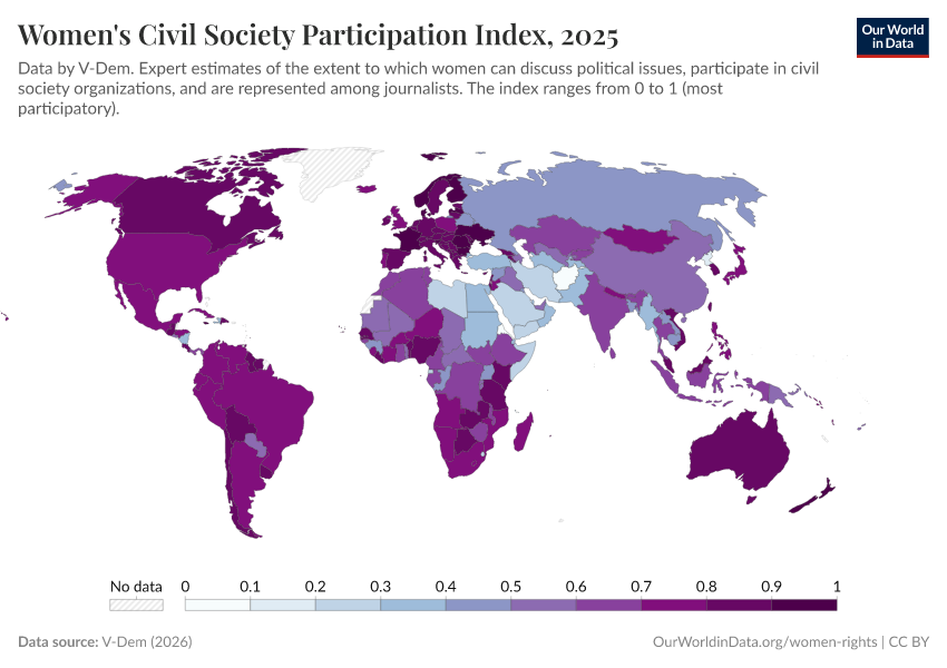 A thumbnail of the "Women's civil society participation index" chart